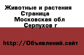  Животные и растения - Страница 10 . Московская обл.,Серпухов г.